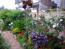 Amélioration jardin LE POUJOL SUR ORB